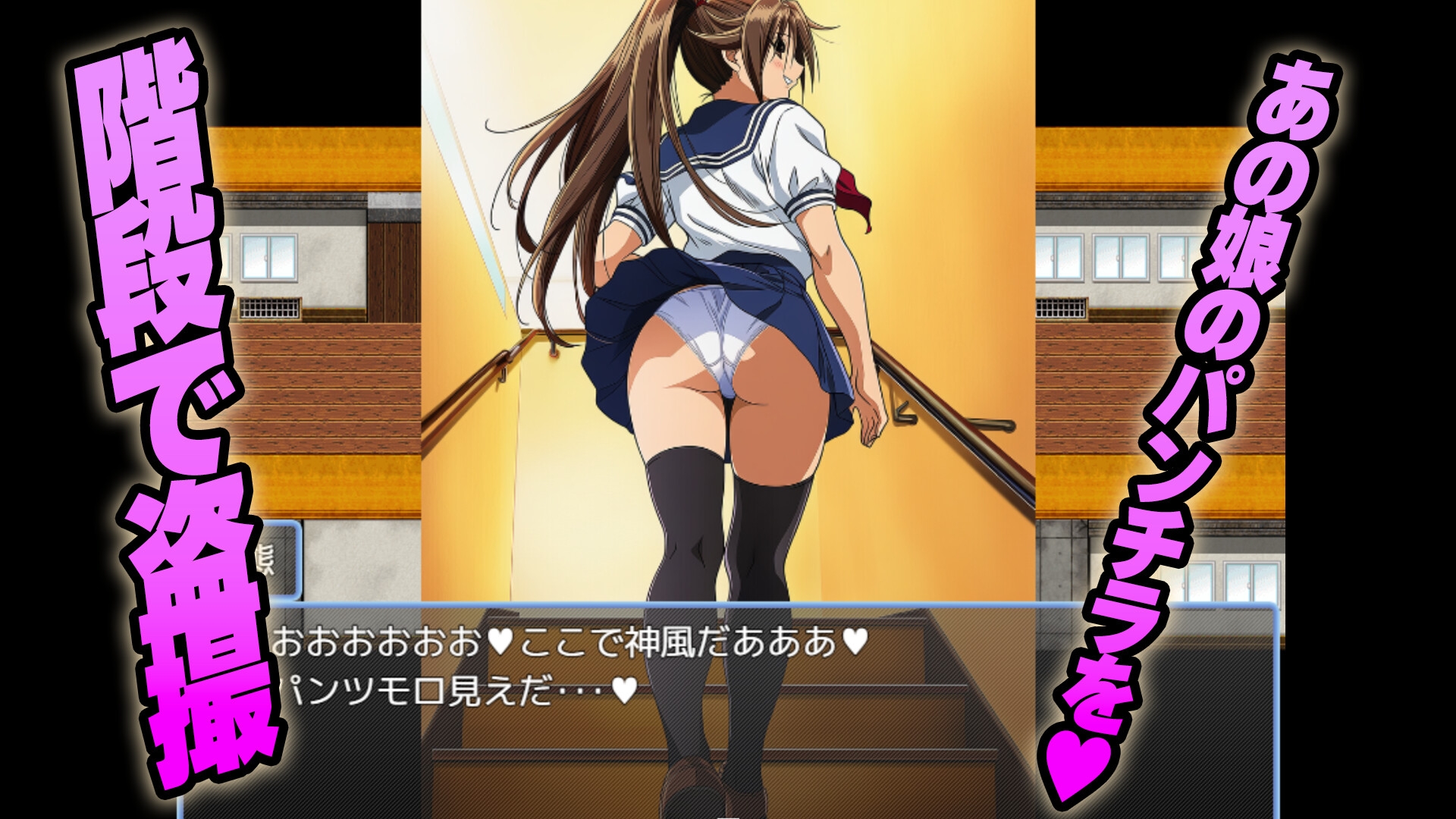 【有名ツンデレ娘を盗撮】～王道のパンチラを求めて～