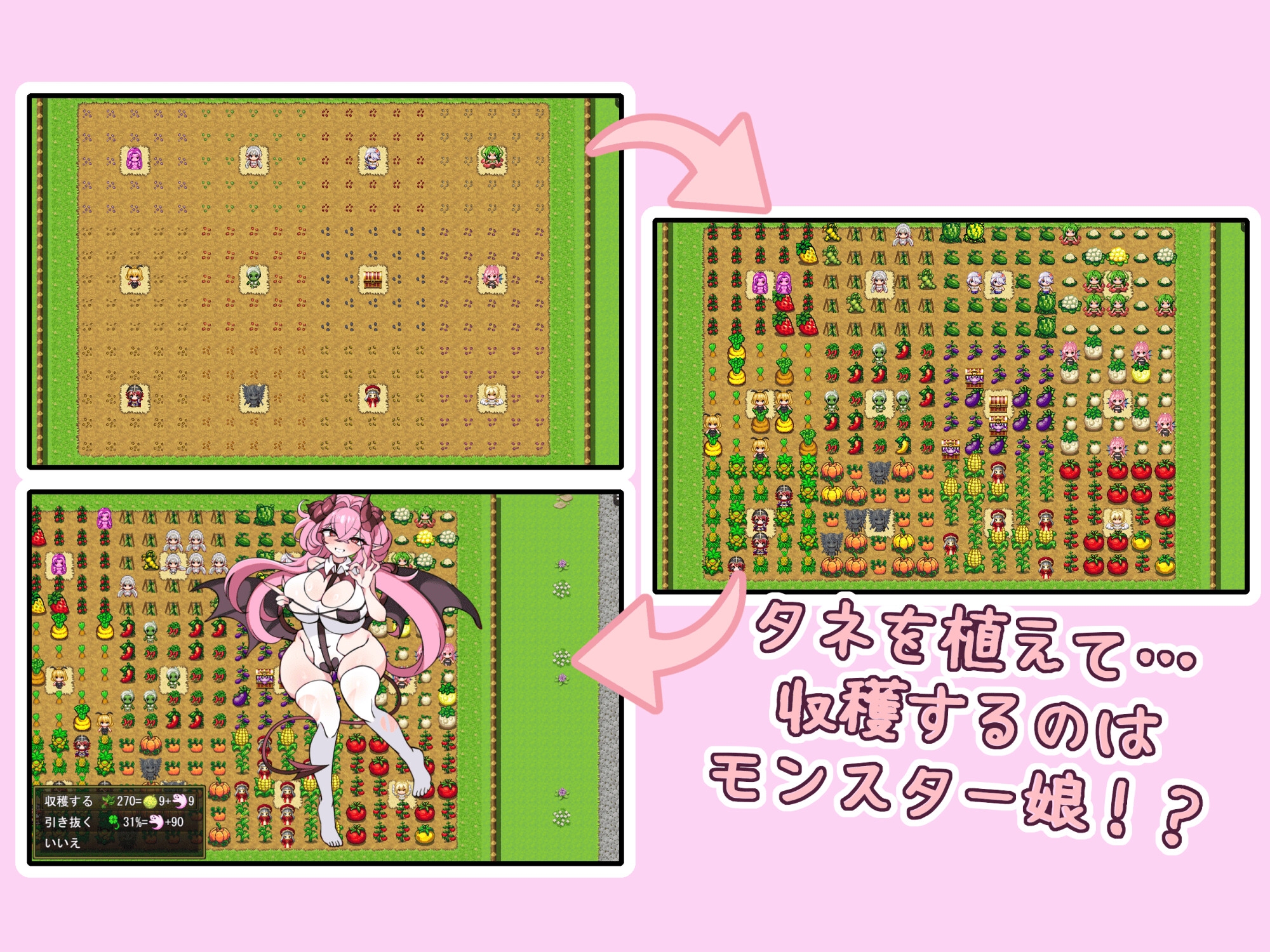 EnoFarm!