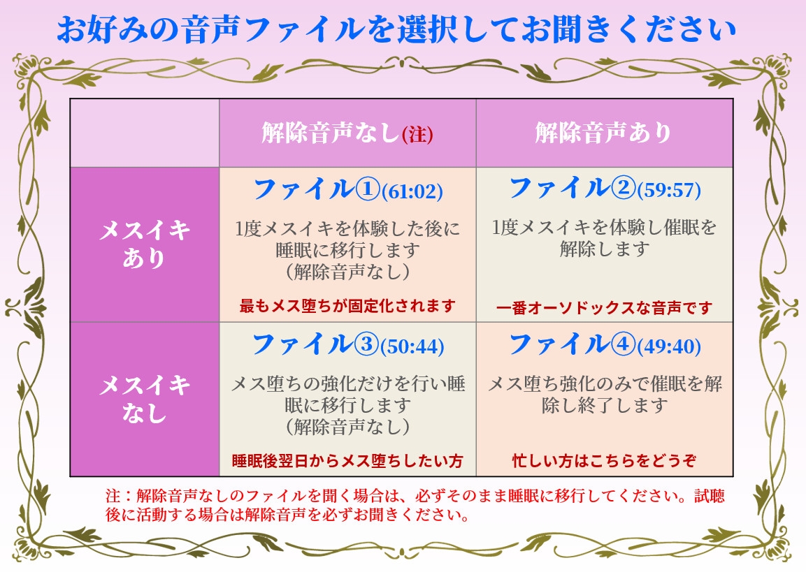 不可逆性・メス堕ち催淫プログラム