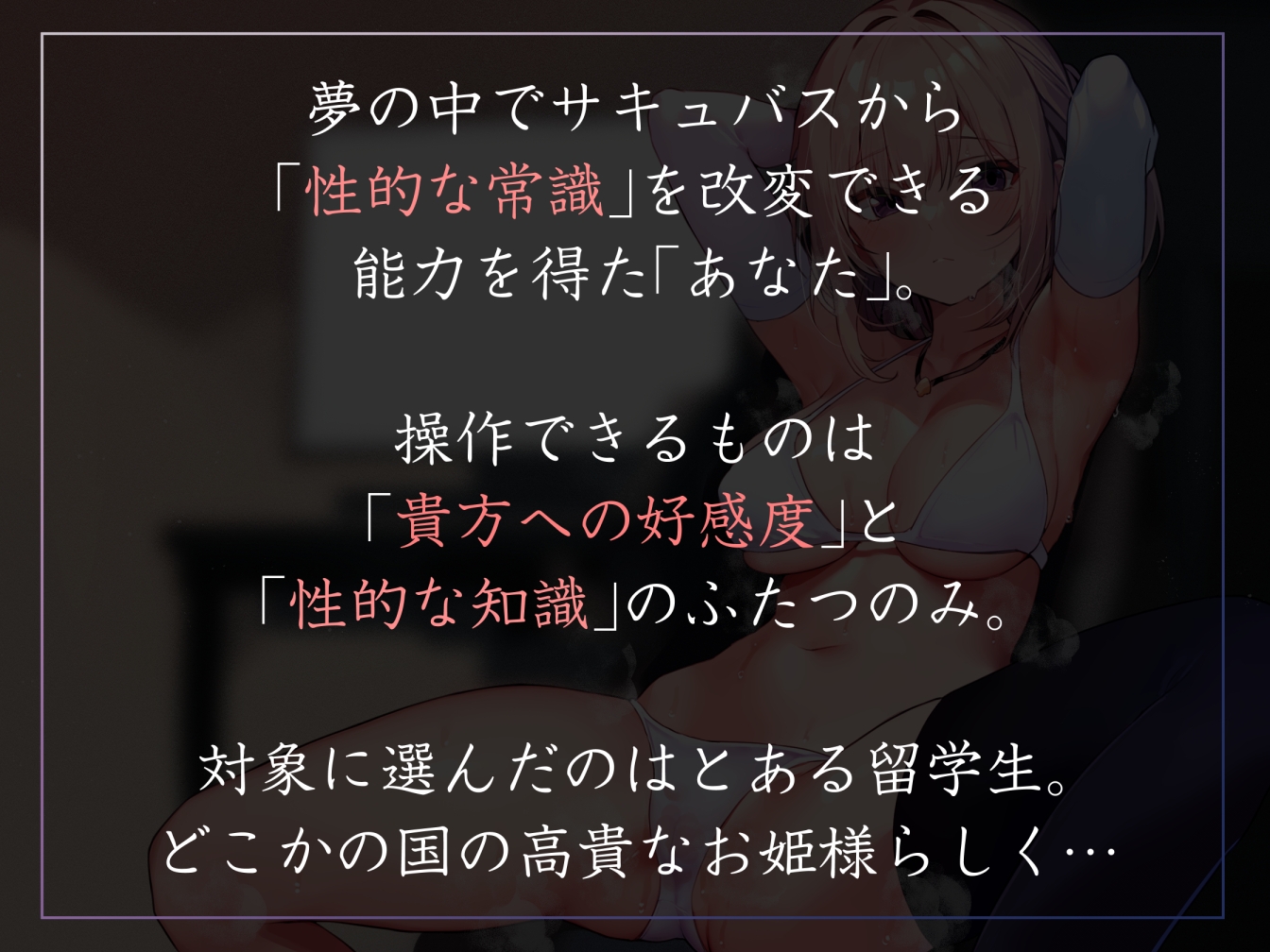 【常識改変特化】異国から留学中の人見知り気味クールお姫様JKの意識を改変し、性処理マナーを普通と思い込ませあまあまおまんこ異文化交流【凌◯なし・汗蒸れ・腋嗅ぎ】