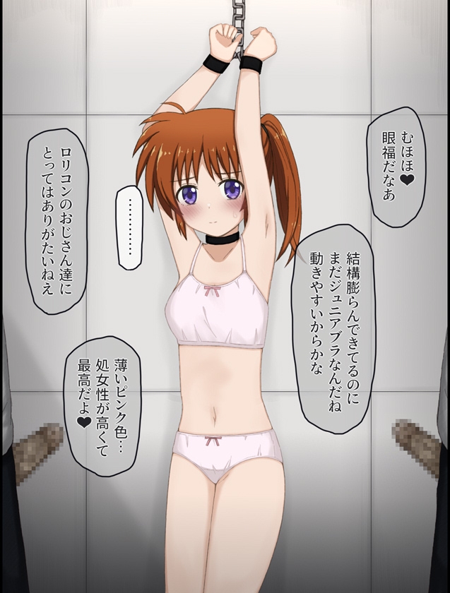 変態局員共に襲われちゃうなのはさんの話 – Preview 6
