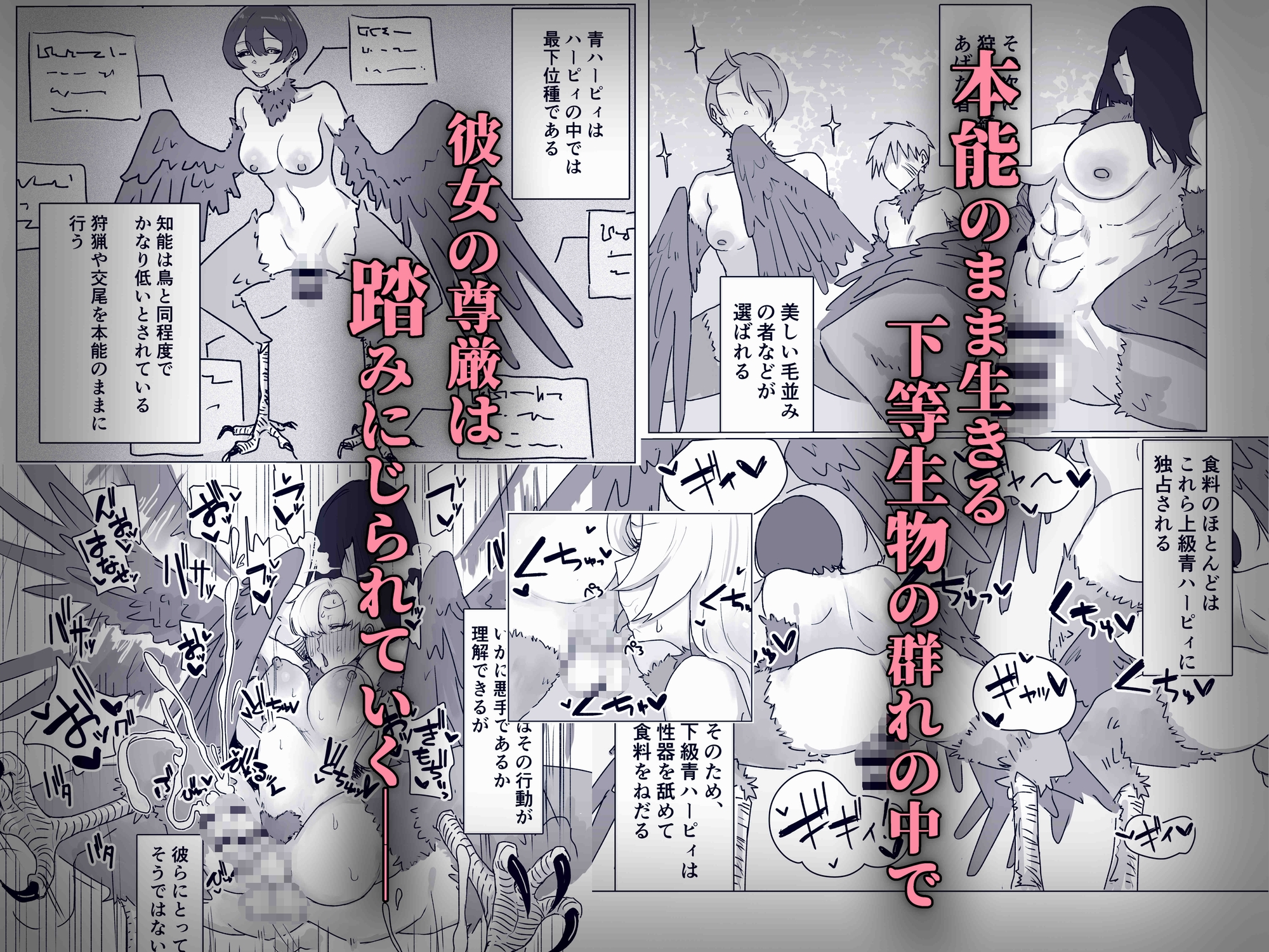 最強女騎士ふたなりハーピィ化
