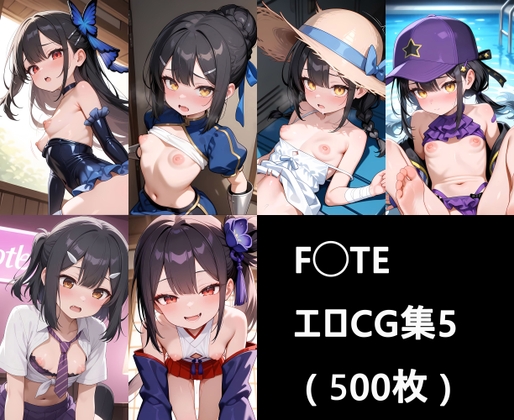 F◯te HCG集5 ( 500枚 )