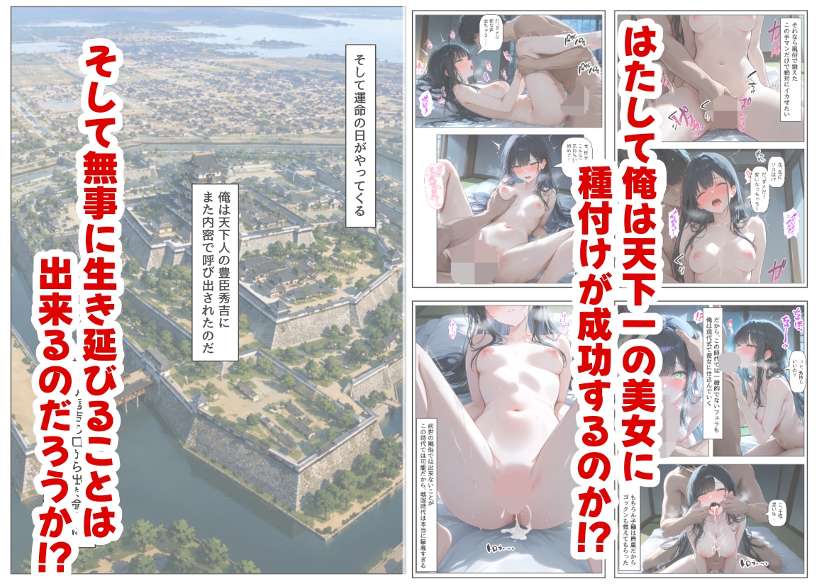 豊臣親戚！ ～秀吉の親戚に転生した～