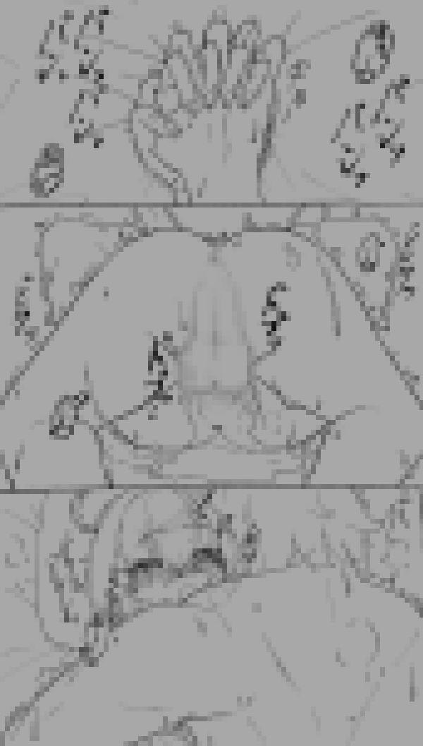 ヴァルキューレの生徒が温泉開発部の生徒に捕まった件について。
