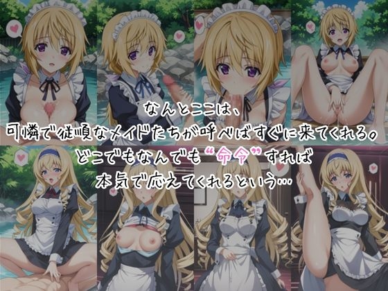 メイドさんデリバリー専門店!!メイドさんの本気SEX、非公開。～シ○ルロット・デュノア&セロリア・オルコット編～