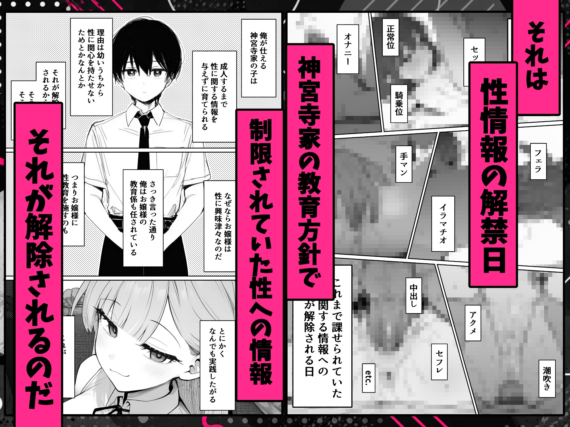 お嬢様はセックスをご所望です