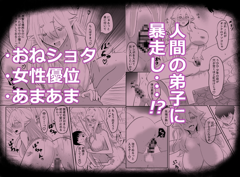 エルフの賢者と人間の弟子