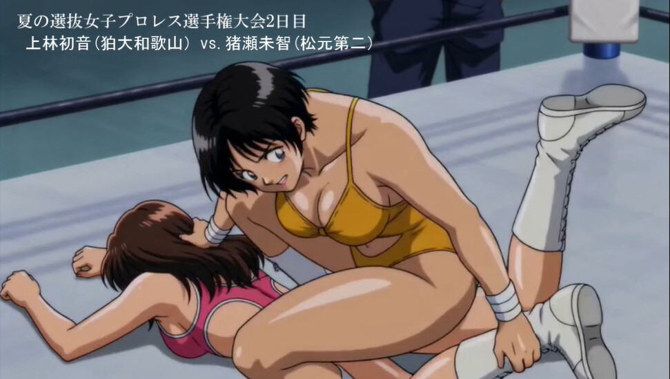 アニメ 夏の選抜女子プロレス選手権大会！