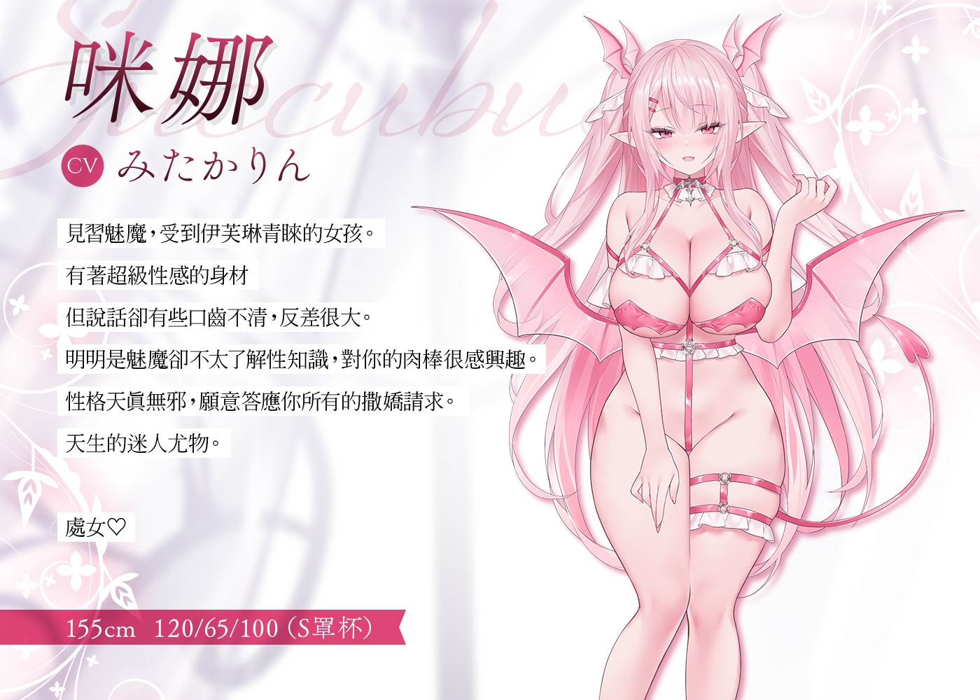 【繁體中文版】ELF PARADISE～歡迎光臨♪治癒焦躁難耐肉棒的只屬於你的理想鄉～