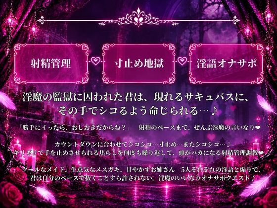 オナサポクエスト〜淫魔による管理〜