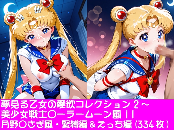夢見る乙女の愛欲コレクション2～美少女戦士〇ーラームーン風11・月野〇さぎ風・緊縛編&えっち編