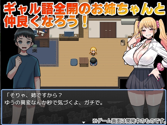 甘々ギャルお姉ちゃんに精通させられてうっかり妊娠さっせちゃった僕
