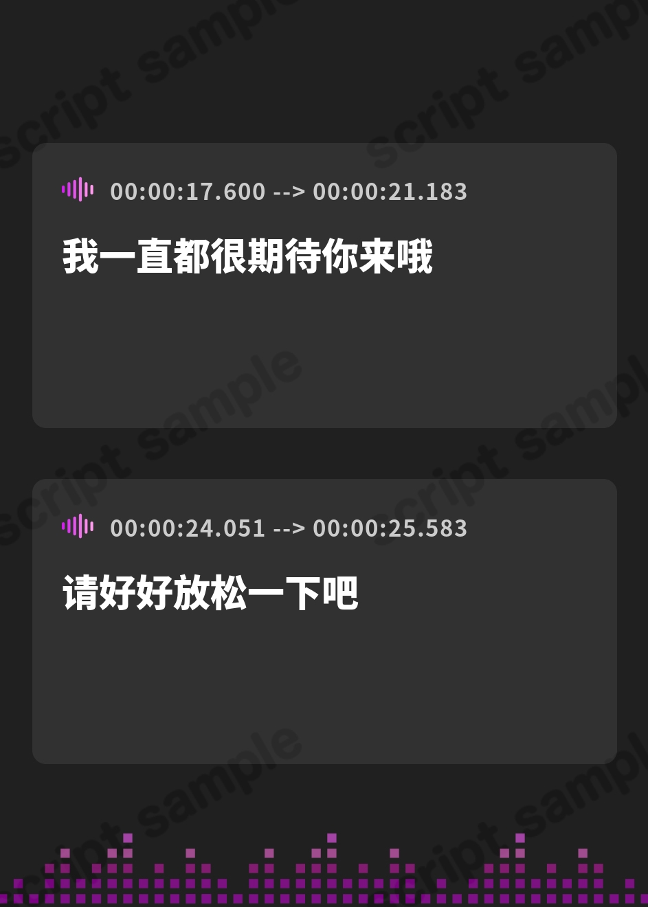 【簡体中文版】極上おねえさんによしよし甘やかされる特別な時間【CV.エトラ】