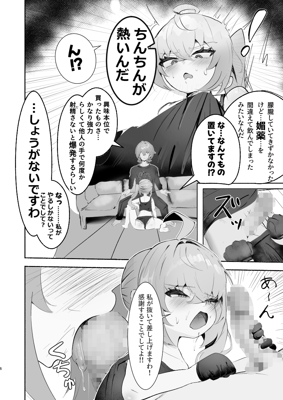 お嬢様との情事