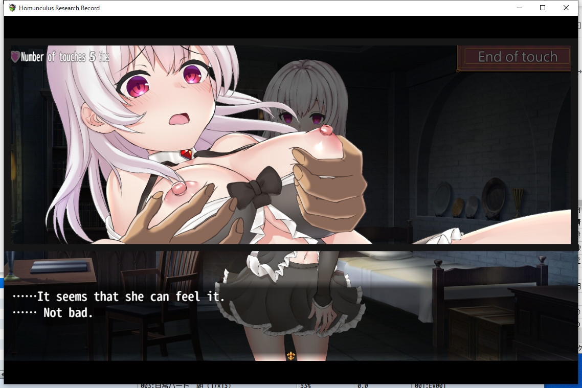 Homunculus Research Record