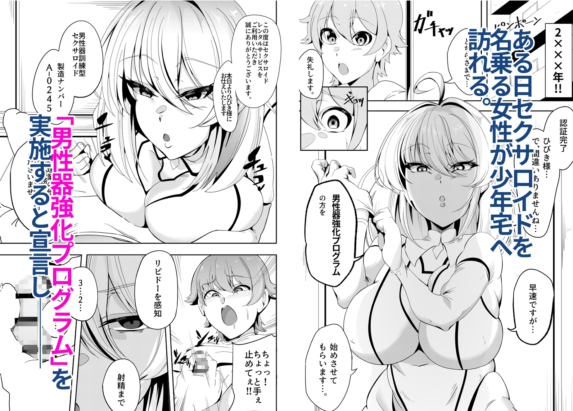 おしかけセクサロイドは冷酷無比