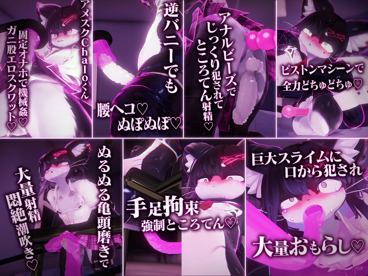 ケモショタChaloくん逆バニー&アメスク搾精エロアニメ7本セット