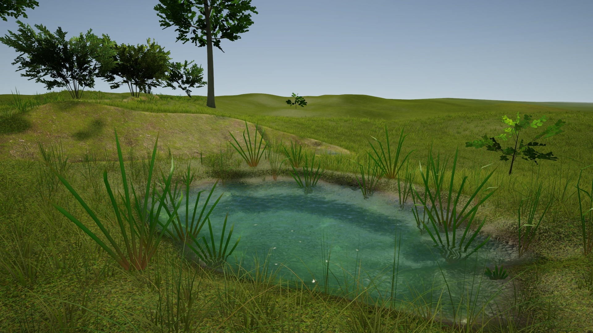 The Water Gardener