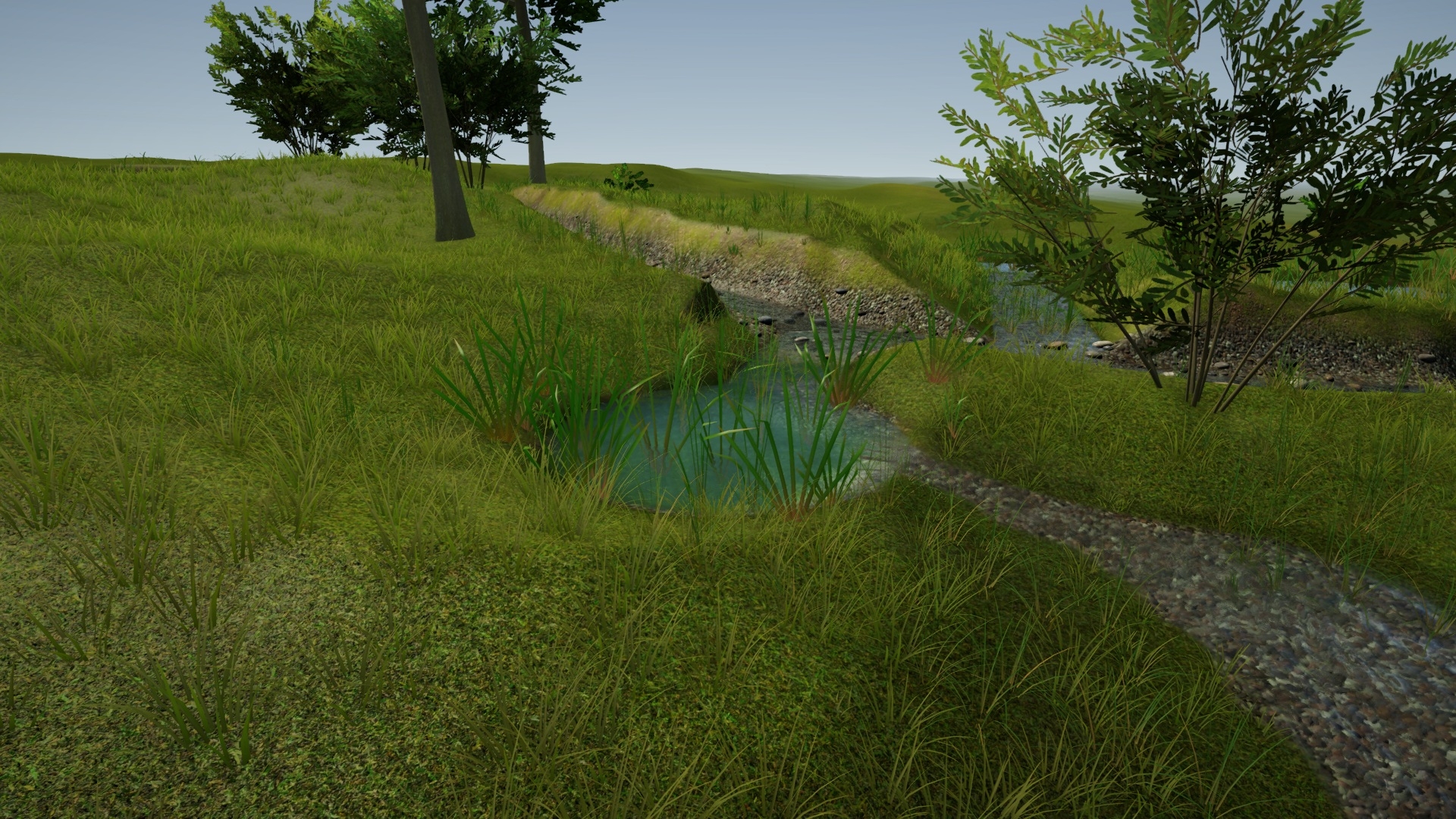 The Water Gardener
