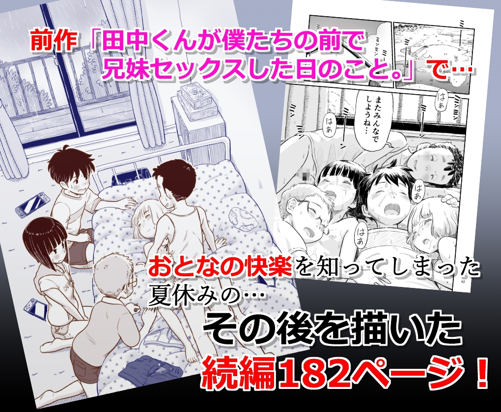 僕たちが田中くんちでセックスを知ってしまったその後のこと。