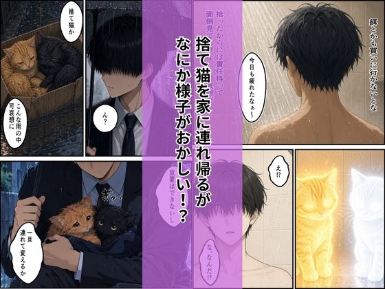 拾った子猫たちがえっちな化け猫で毎日ヤりたい放題