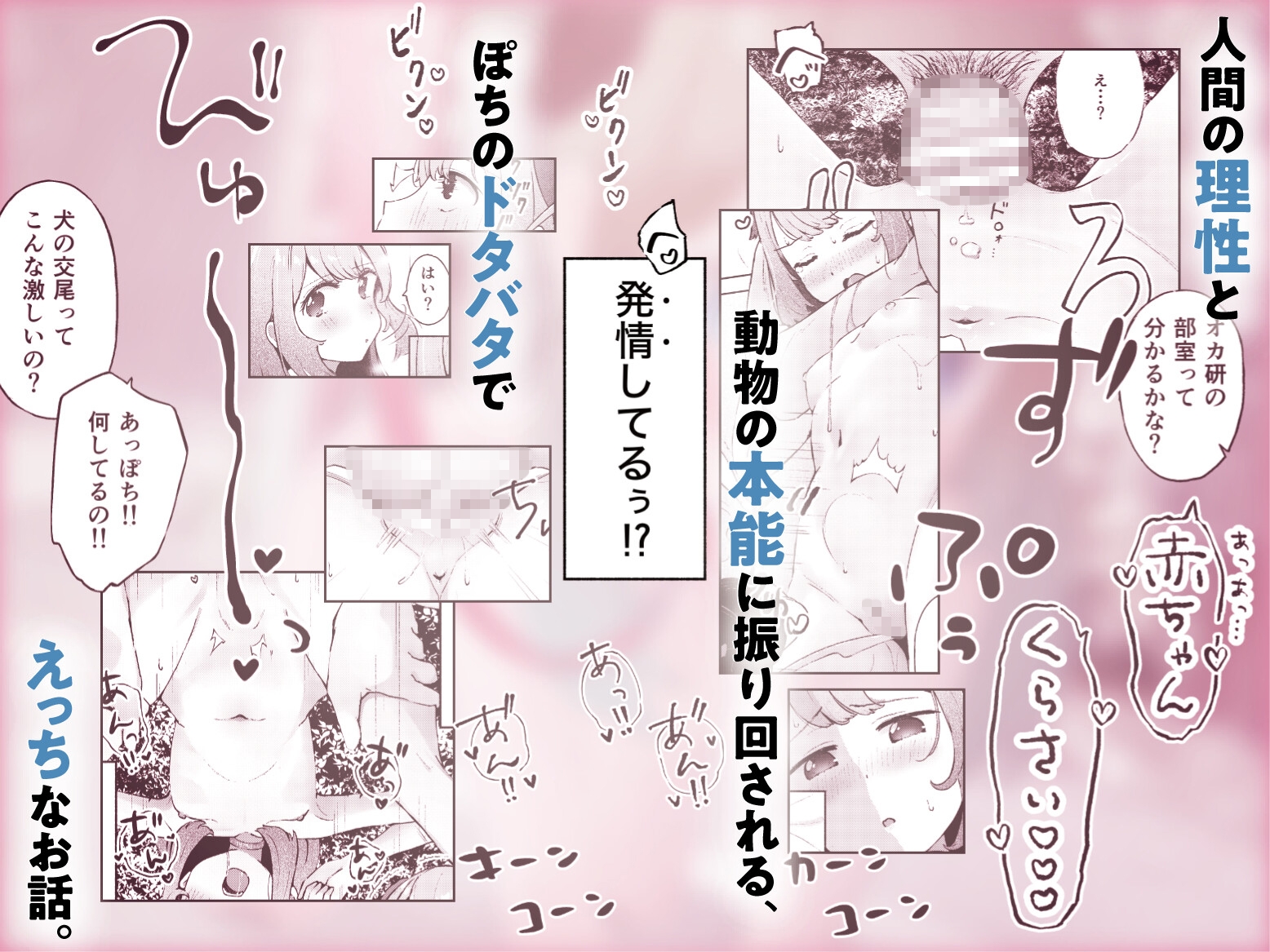 ぽちのふしぎな日常
