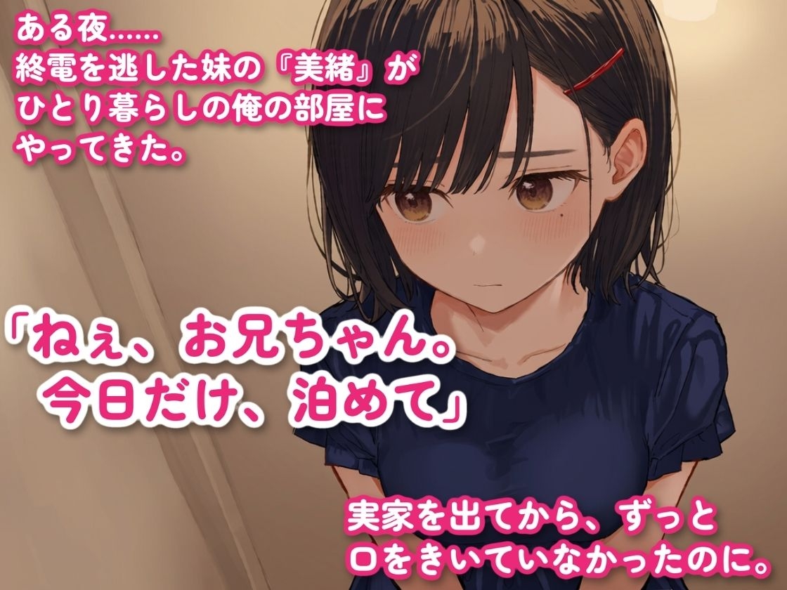 終電を逃した妹が「今日だけ泊めて」と言うので、兄妹をやめて中出しえっちしちゃった – Preview 2
