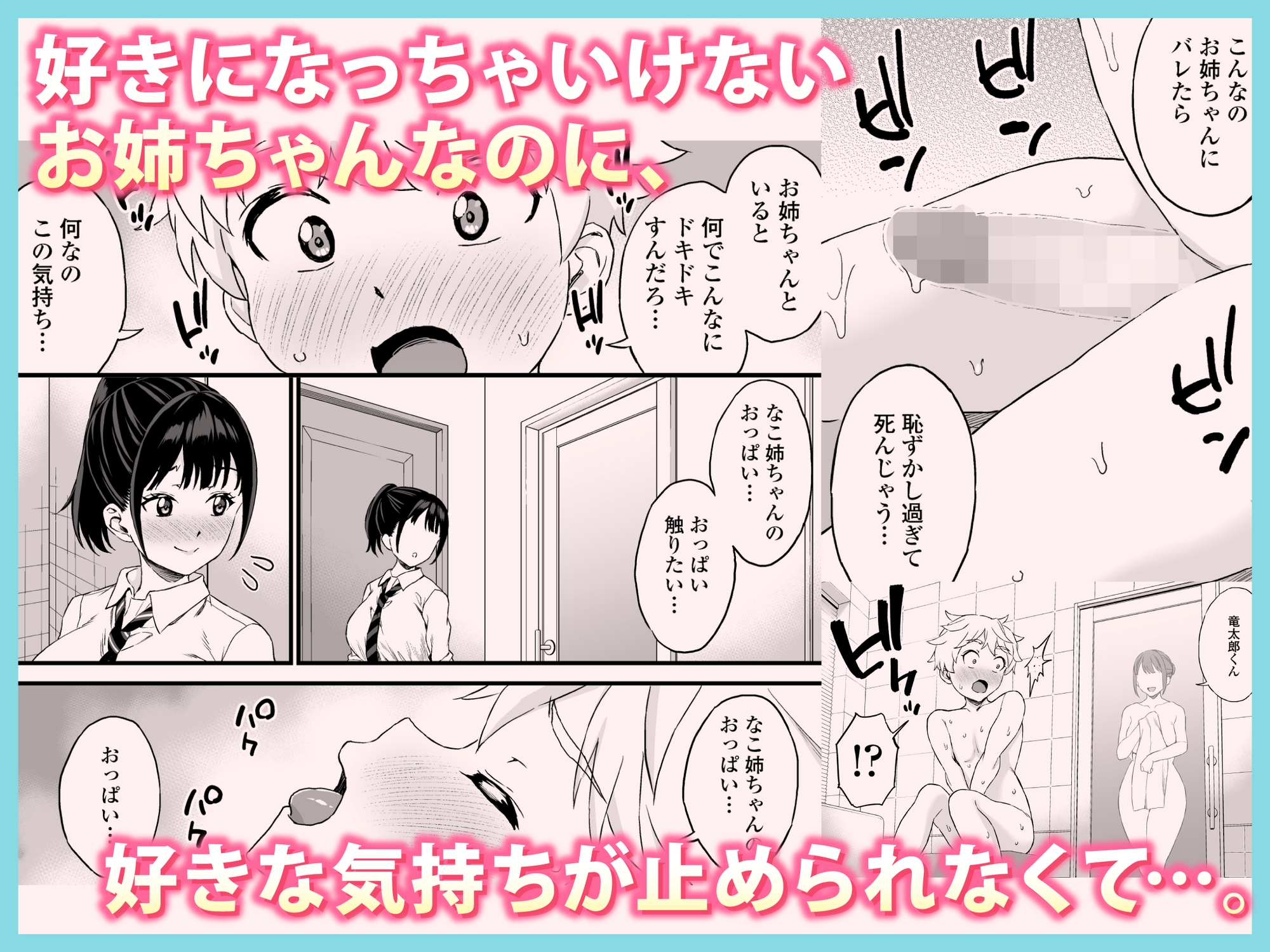 義理のお姉ちゃんとセックスする話