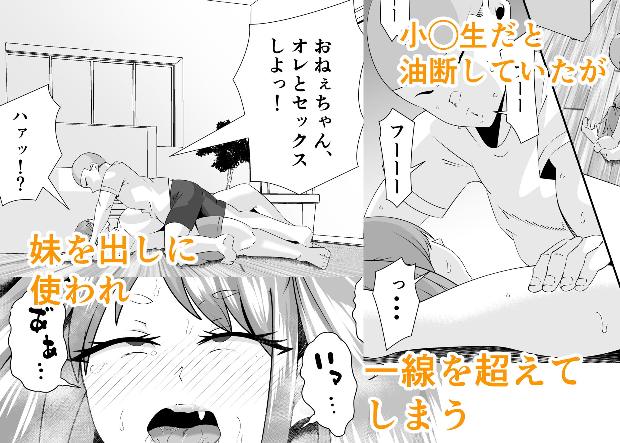 エロガキに壊されたお姉ちゃん – Preview 3