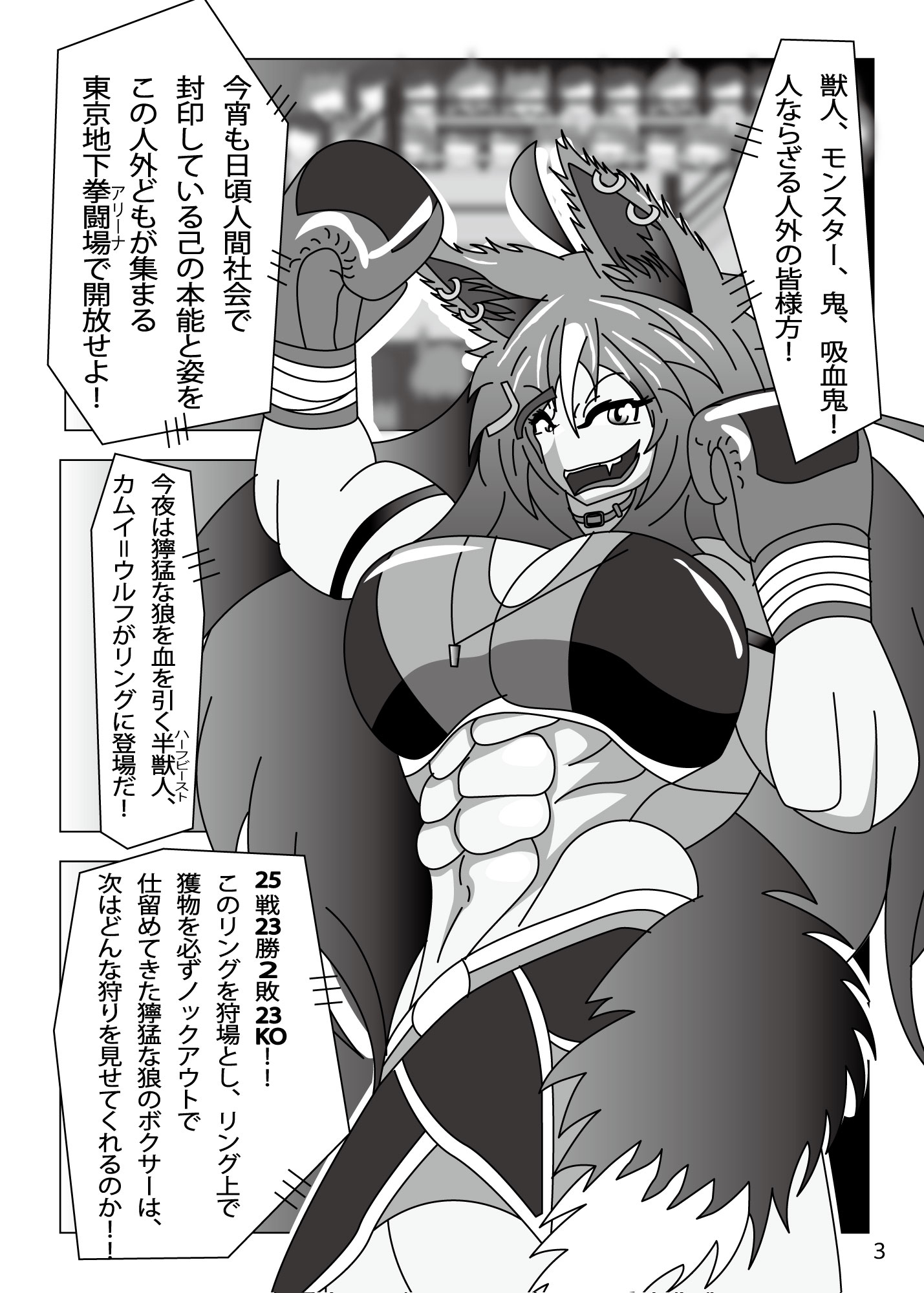 ビーストボクサーカムイ 邪鬼討伐編