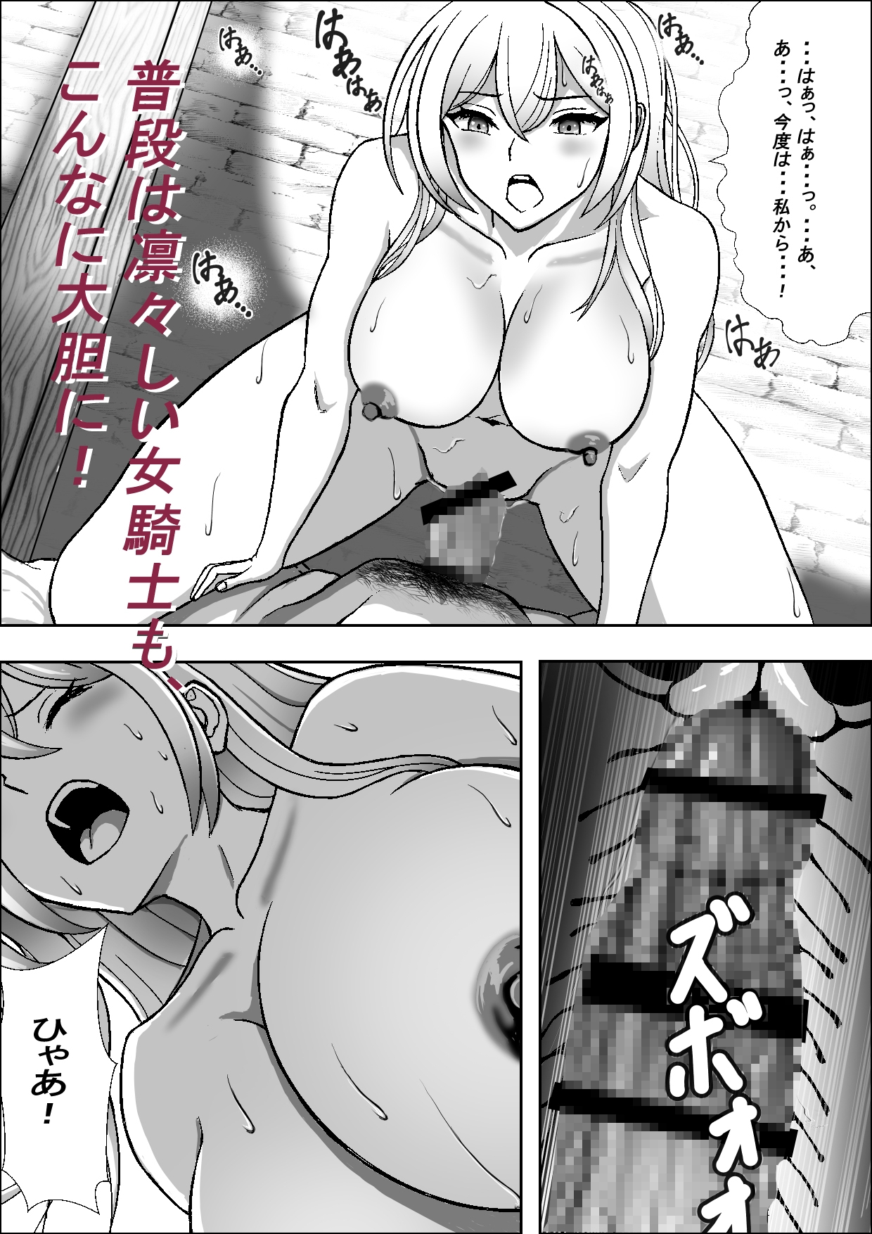 高貴な女騎士イザベルの暴かれる夜