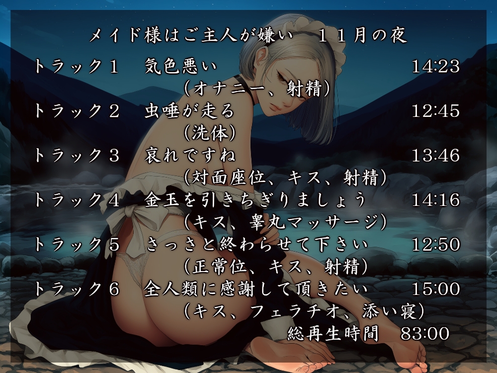 メイドさんが好きなんだからしょうがない – Preview 8