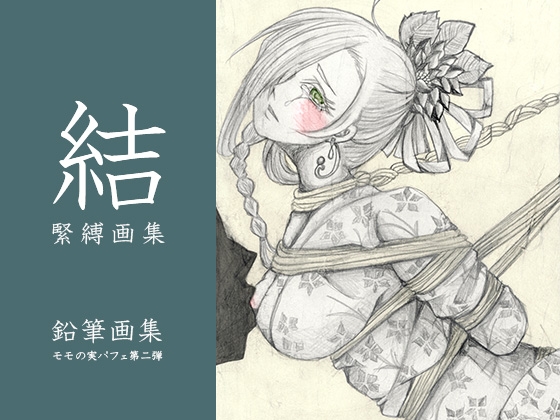 結 緊縛画集