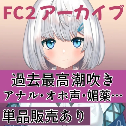 FCアーカイブ02 – main preview